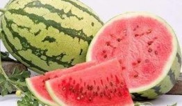 黑瓜吃料网 网红大瓜图片 瓜瓜基地,网红大瓜图片背后的瓜瓜基地探秘